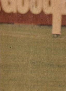 1976 Scanlens VFL #12 Leigh Matthews Back